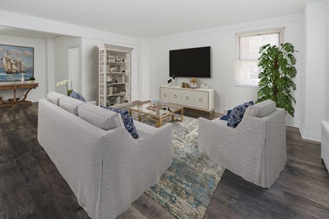 a living room with two couches and a television